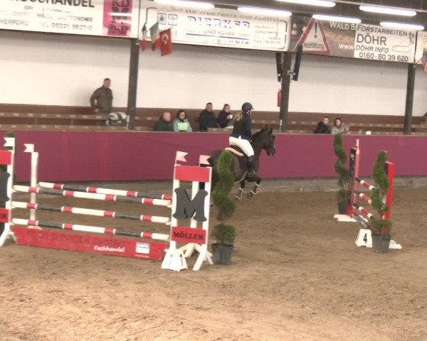 Reitturnier Vlotho-Exter 2024