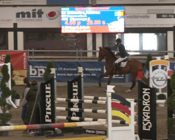 Reitturnier Vlotho-Exter 2024