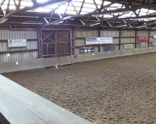 Reitturnier Springe 2024