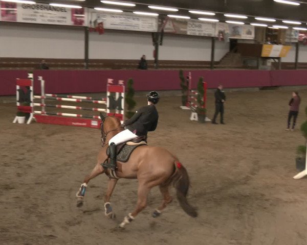 Reitturnier Vlotho-Exter 2024