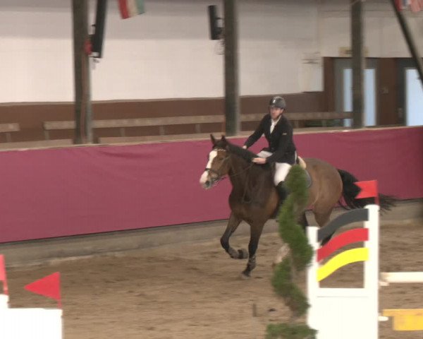 Reitturnier Vlotho-Exter 2024