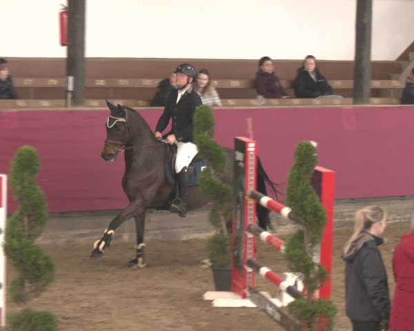 Reitturnier Vlotho-Exter 2024