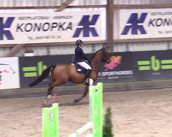 6. Nordic Jumping event Negernbötel 2024