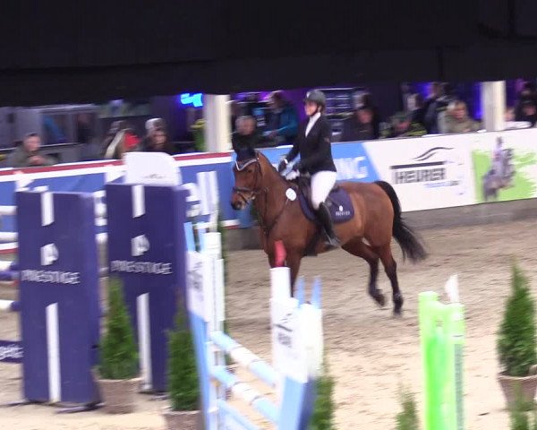 6. Nordic Jumping event Negernbötel 2024