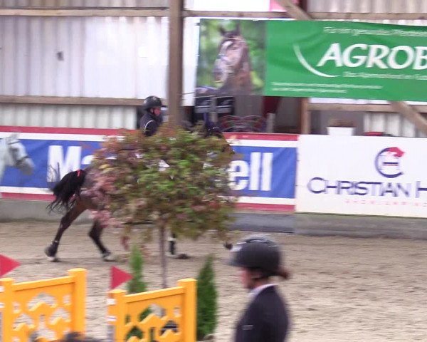 6. Nordic Jumping event Negernbötel 2024