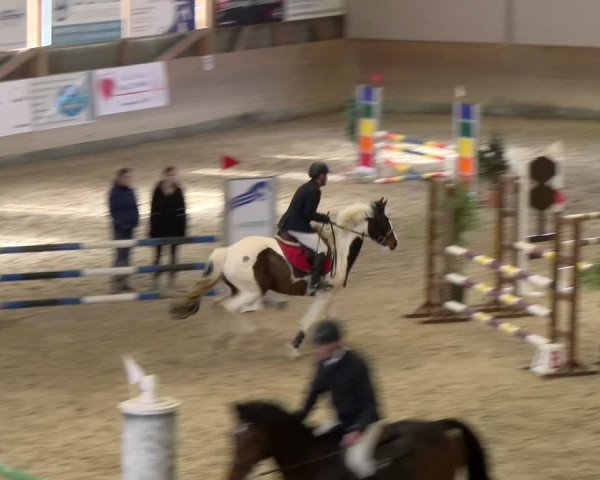 Reitturnier Schaffhausen 2024