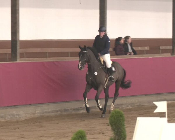 Reitturnier Vlotho-Exter 2024