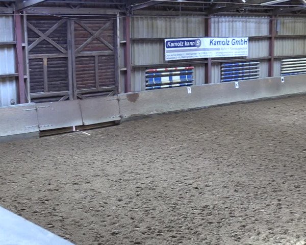 Reitturnier Springe 2024