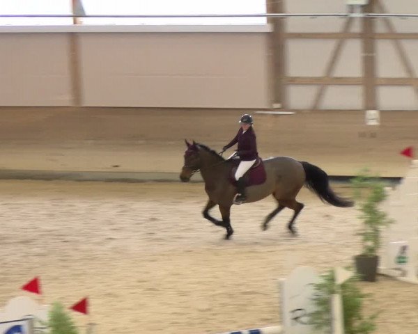 Reitturnier Schaffhausen 2024