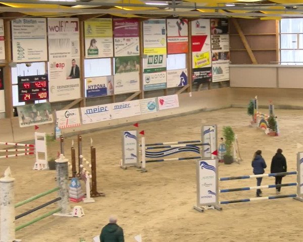 Reitturnier Schaffhausen 2024