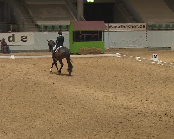 Reitturnier Kreuth/Opf. 2024