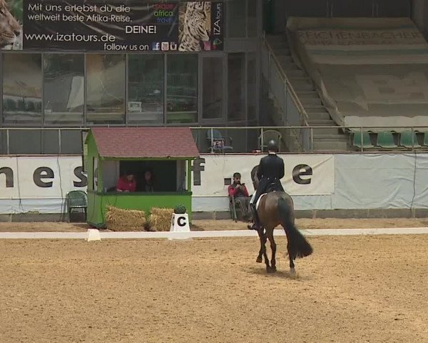 Reitturnier Kreuth/Opf. 2024