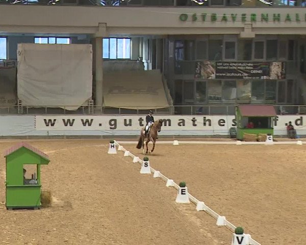 Reitturnier Kreuth/Opf. 2024