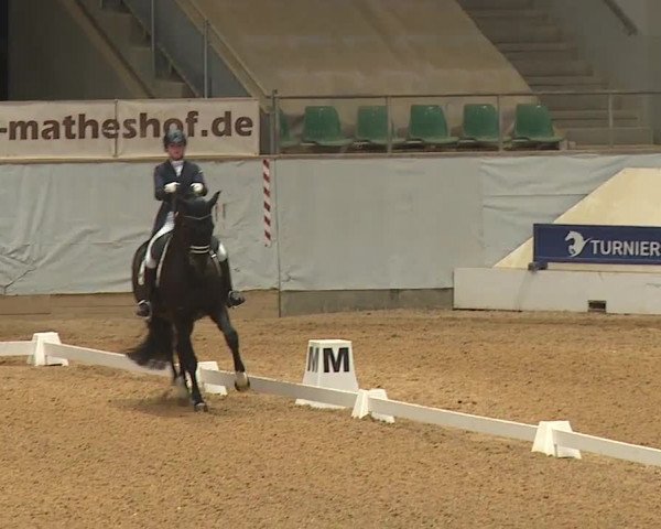 Reitturnier Kreuth/Opf. 2024