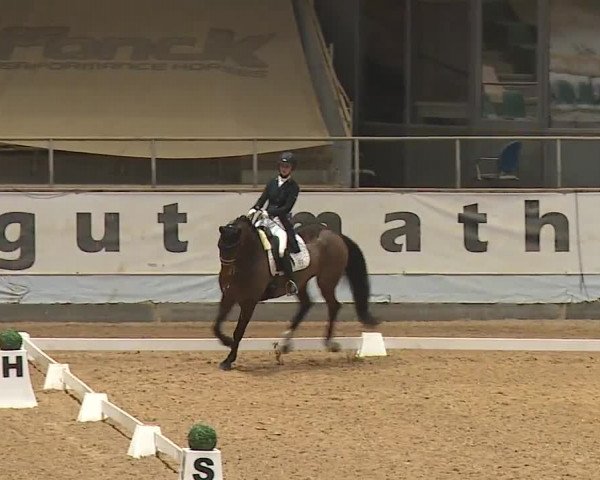 Reitturnier Kreuth/Opf. 2024