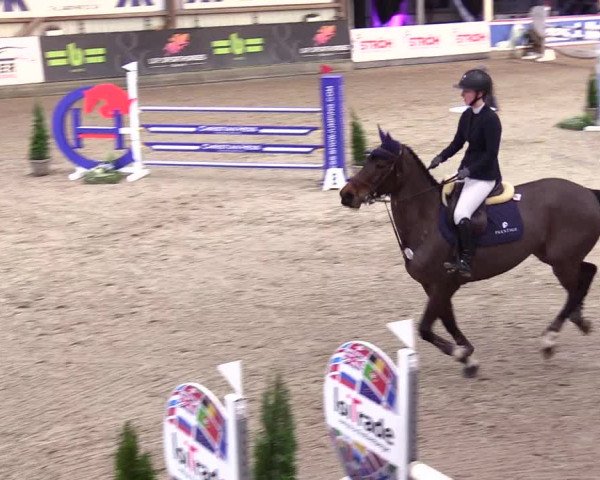 6. Nordic Jumping event Negernbötel 2024