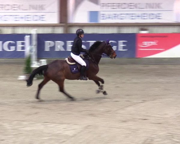 6. Nordic Jumping event Negernbötel 2024