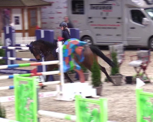 6. Nordic Jumping event Negernbötel 2024