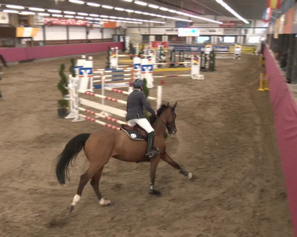 Reitturnier Vlotho-Exter 2024