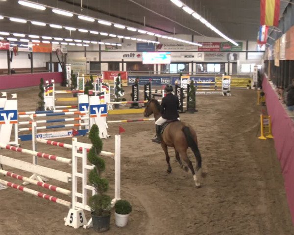 Reitturnier Vlotho-Exter 2024