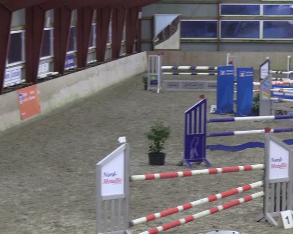 Reitturnier Süderlügum 2024