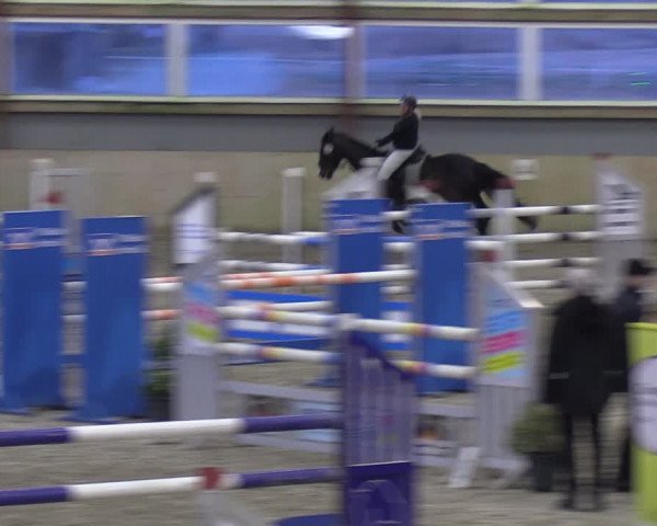 Reitturnier Süderlügum 2024