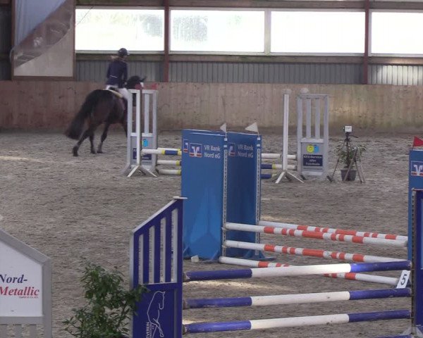 Reitturnier Süderlügum 2024