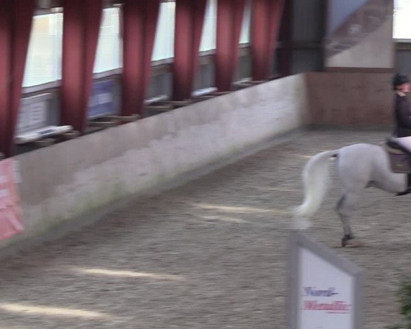 Reitturnier Süderlügum 2024