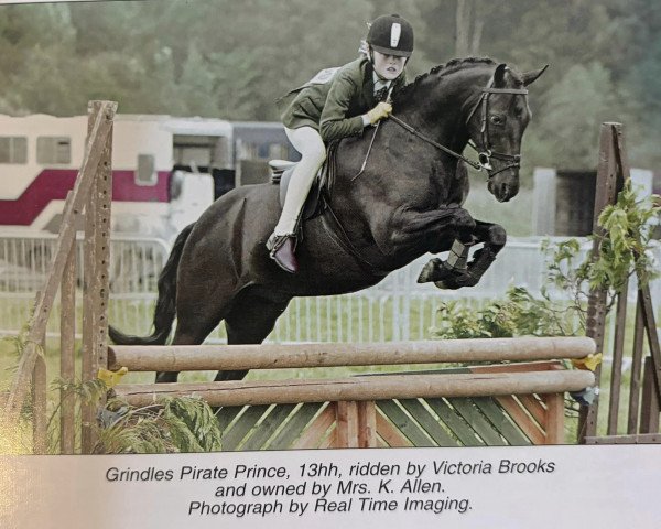 Pferd Grindles Pirate Prince (British Riding Pony, 1999, von Sandbourne Royal Ensign)