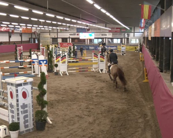 Reitturnier Vlotho-Exter 2024