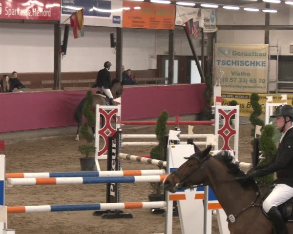 Reitturnier Vlotho-Exter 2024