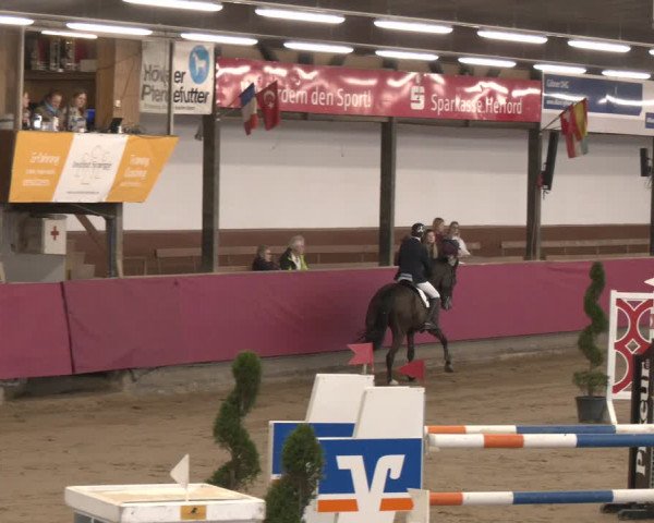 Reitturnier Vlotho-Exter 2024