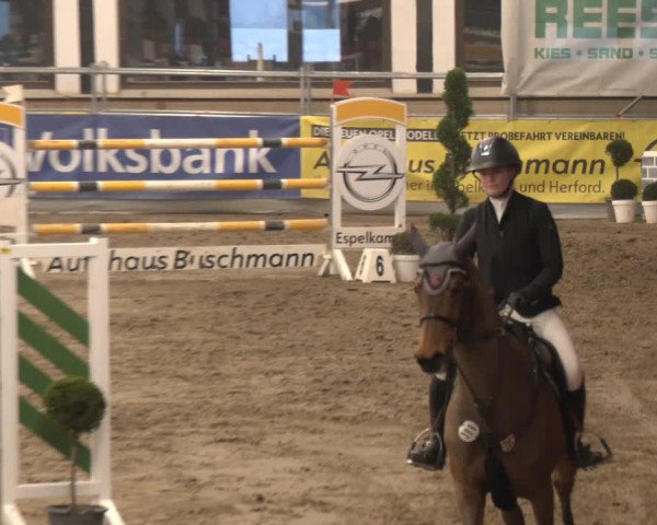 Reitturnier Vlotho-Exter 2024