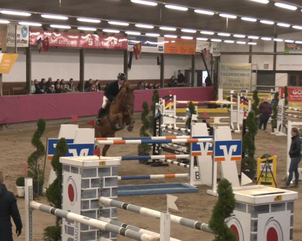 Reitturnier Vlotho-Exter 2024