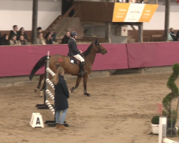 Reitturnier Vlotho-Exter 2024