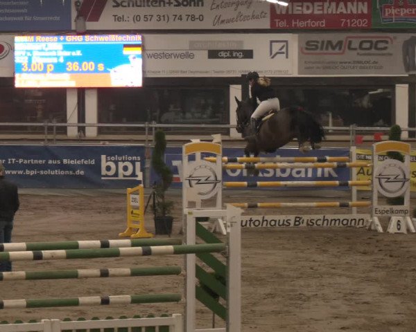 Reitturnier Vlotho-Exter 2024