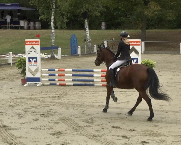Reitturnier Forst 2021
