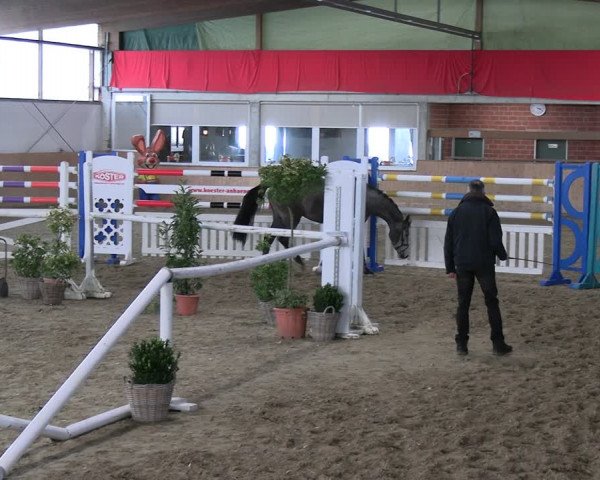 Freispringwettbewerb Borgholzhausen 2024