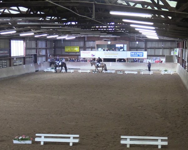 Reitturnier Springe 2024