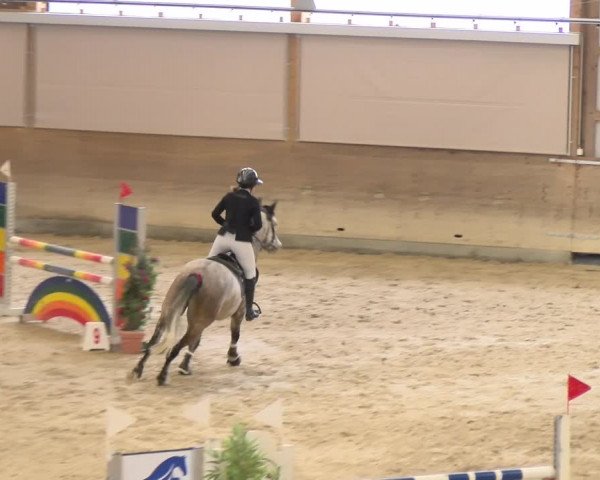 Reitturnier Schaffhausen 2024