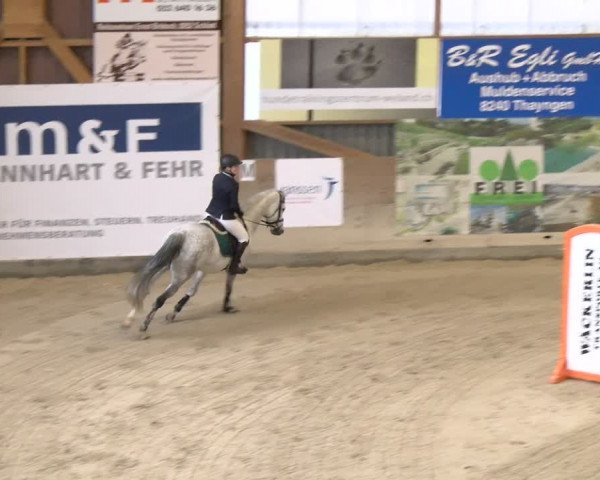 Reitturnier Schaffhausen 2024