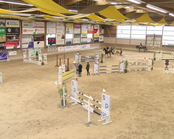 Reitturnier Schaffhausen 2024