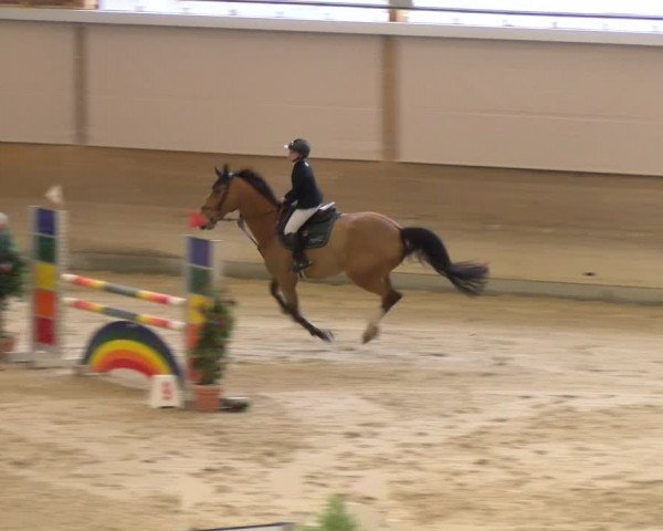Reitturnier Schaffhausen 2024