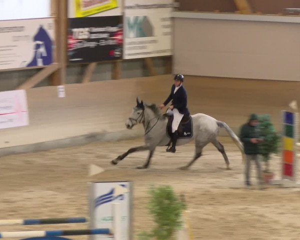 Reitturnier Schaffhausen 2024