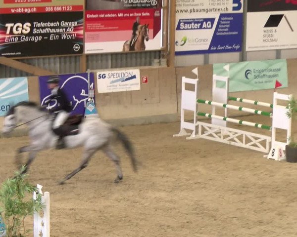 Reitturnier Schaffhausen 2024