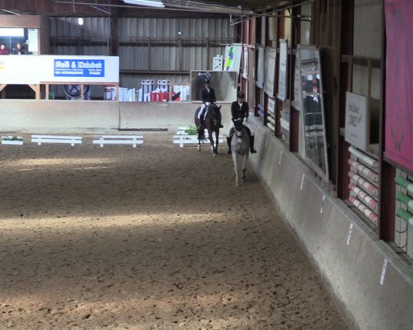 Reitturnier Springe 2024