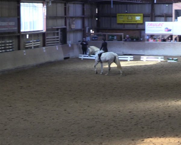Reitturnier Springe 2024