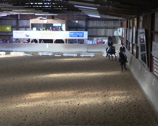 Reitturnier Springe 2024