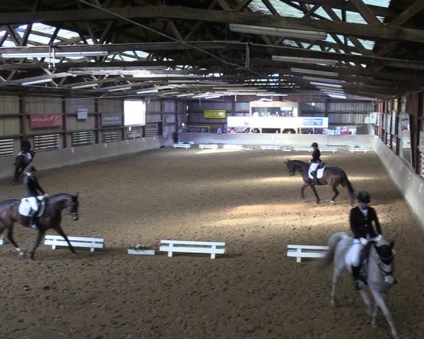 Reitturnier Springe 2024