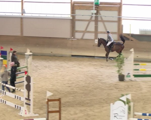Reitturnier Schaffhausen 2024